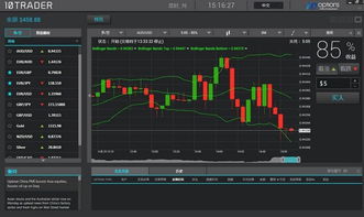 投資軟件報價與廠家選擇指南